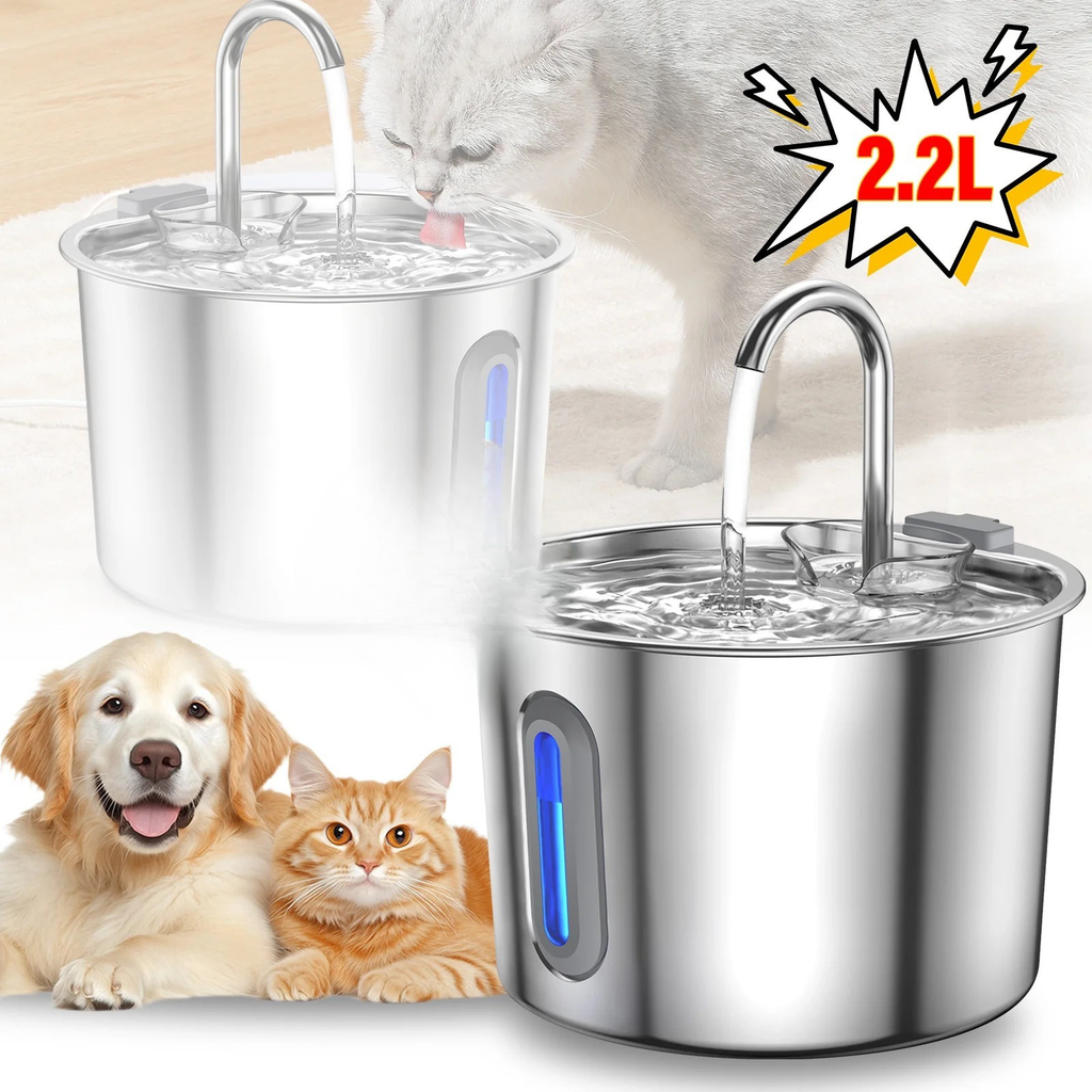Pet Friendly - Rent Vatten till dina djur